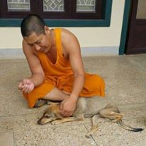 Monk cares for a street dog in Tibet