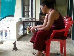 Tibetan monk with tiny rescue puppy