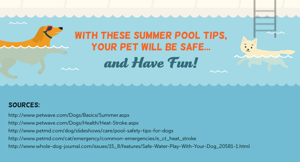 dog pool safety tips