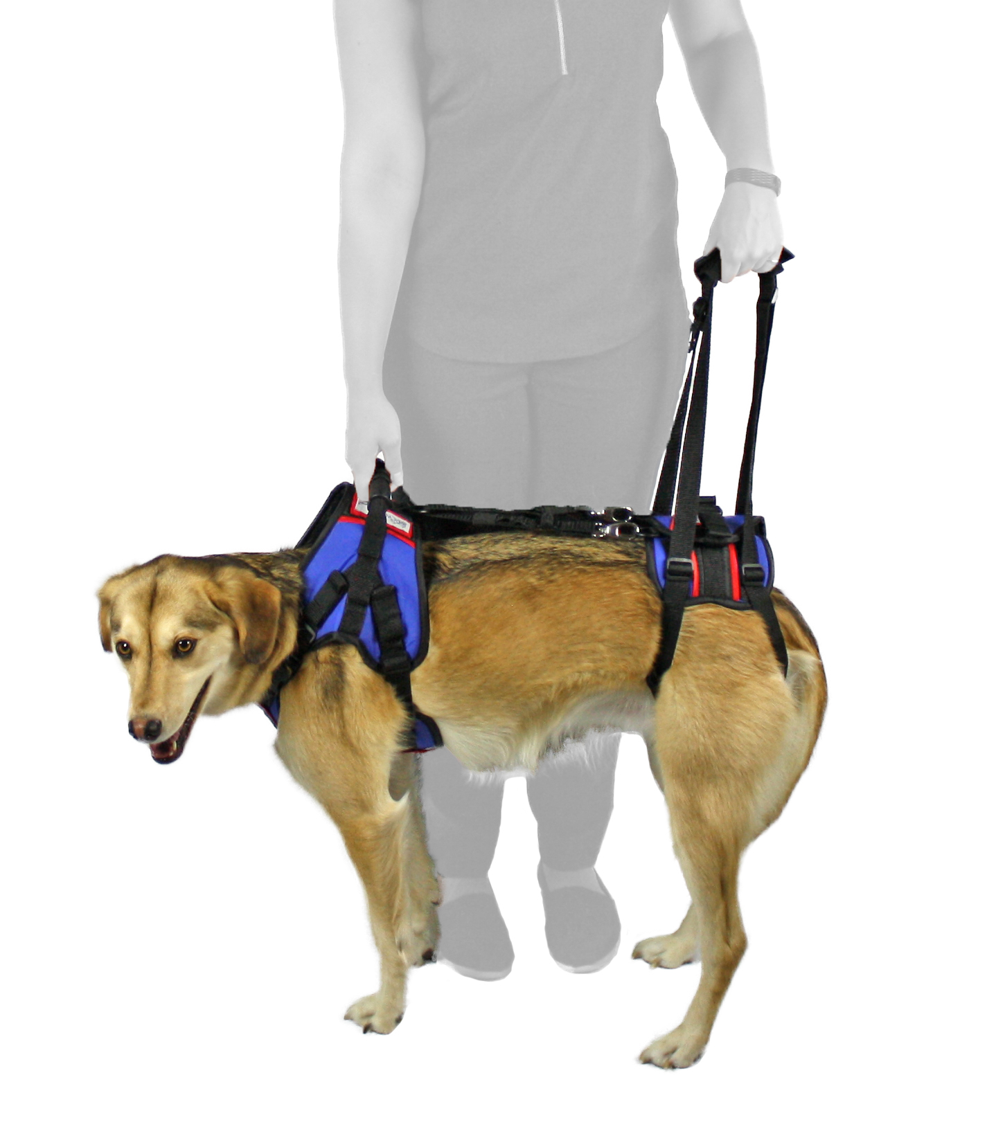 lifting harness for dogs with weak legs