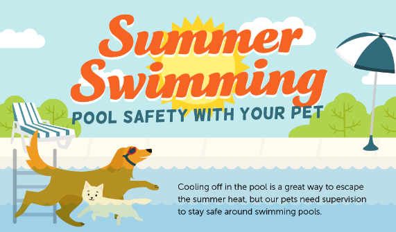 Pool Safety for Dogs & Cats