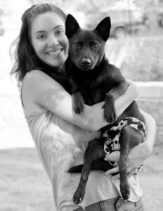 adopting a rescue dog 2008