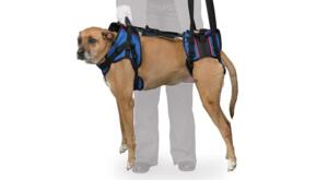 dog lift support harness