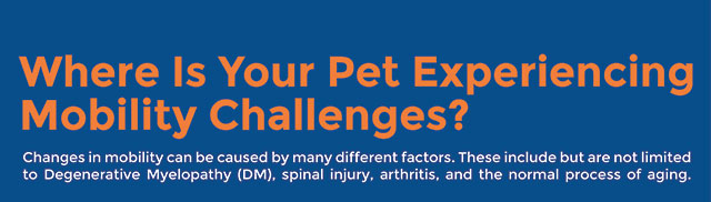 Where is Your Pet Experiencing Mobility Challenges?