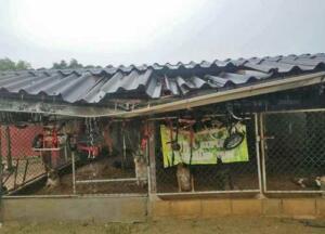 heavy-rain-causes-roof-collapse