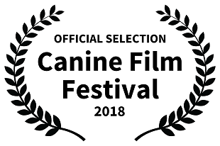 canine film festival