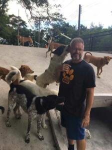 the-man-that-rescues-dogs