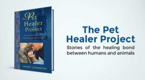 pet healer project book
