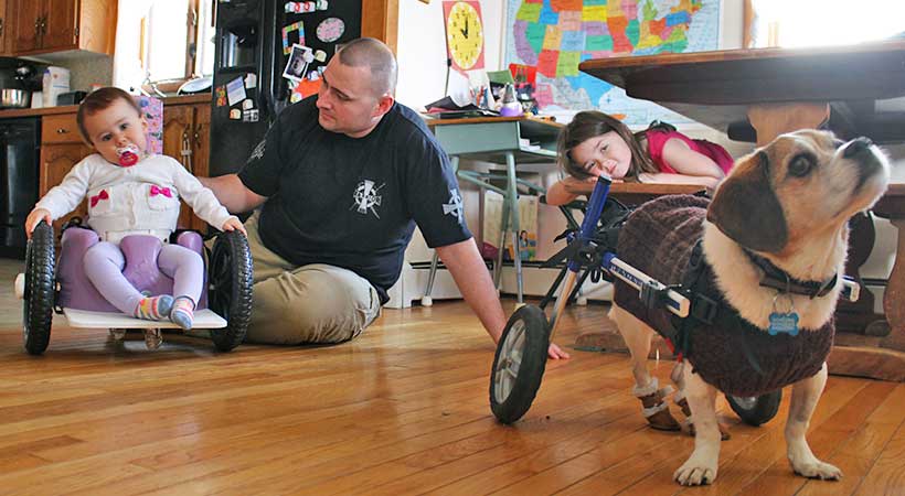 dog wheelchair for improved mobility