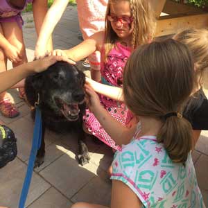 blind dog school visit