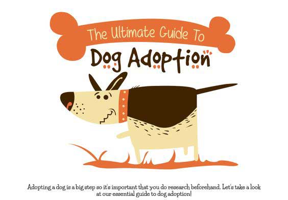 disabled dog adoption guide