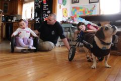 Rescue Dog Oscar with NH Bella's Bumbas Wheelchair