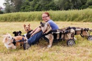 Pet Care Giver for Wheelchair Dogs