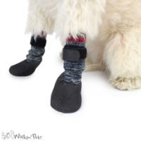 dog traction socks on paws