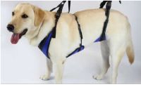 full body dog lifting harness