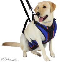 dog support harness