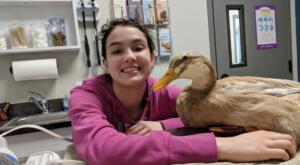 Elizabeth the Duck at the Vets