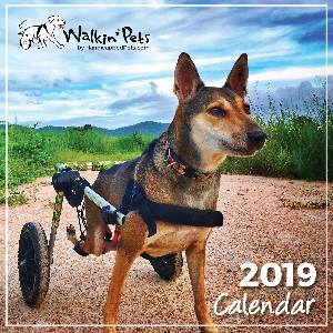 wheelchair dog calendar