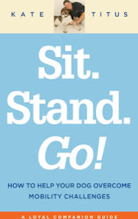 Sit Stand Go Book