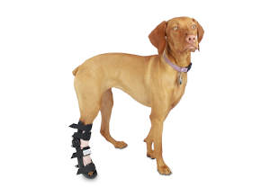 Adjustable Pet Splint for Bandaged Leg