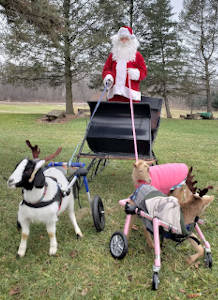 Wheelchair Goats celebrate the holidays with Santa