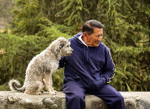 Special outings are important for senior dogs and their owners. 