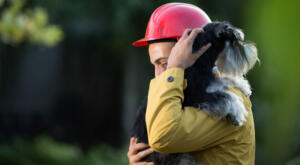Shih Tzu being held by rescue worker