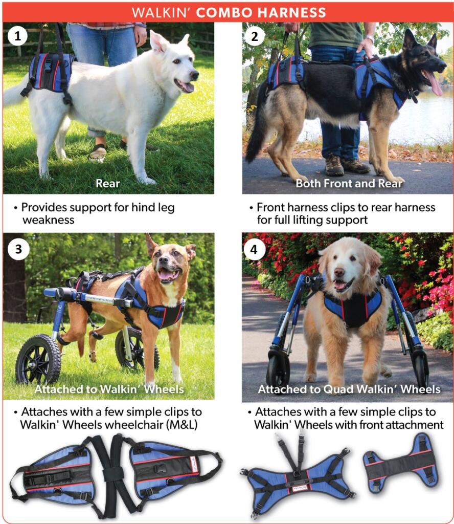 Lifting harness that adapts for changing canine mobility