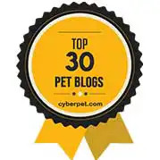 Top Rated Dog Blog