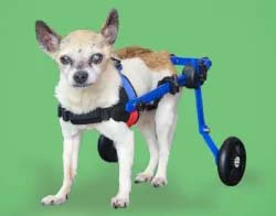 Mini Dog Wheelchair