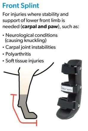 front splint for dog leg