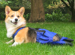 drag bag for paralyzed dog