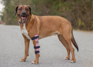 Custom dog leg brace for elbow