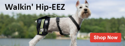 Walkin' Hip-EEZ Hip Support System