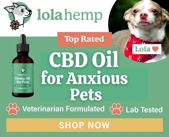 CBD oil for anxious pets