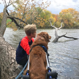 Disabled dog acts as service dog for child